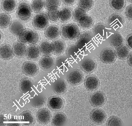 PEG包覆上轉換納米顆粒(近紅外光)