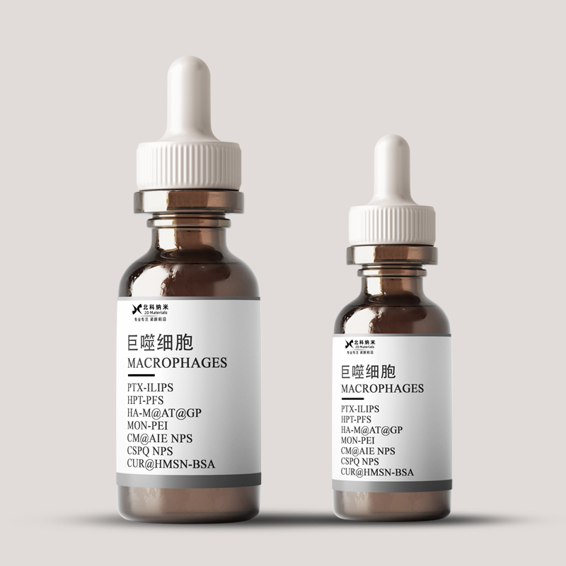 ���ɼ���